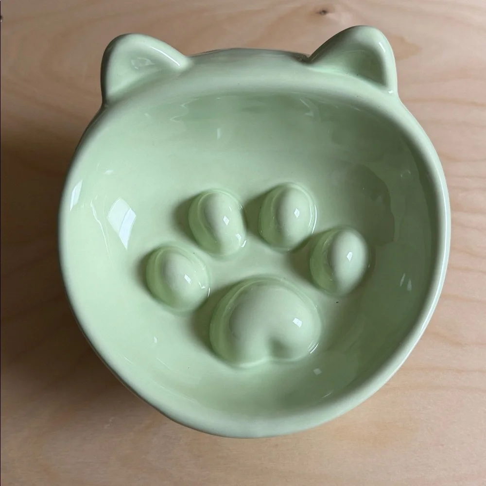 Ceramic Slow Feeder Bowl for Dog or Cat